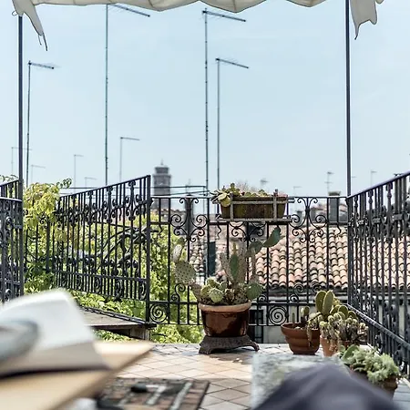 Three Terraces *